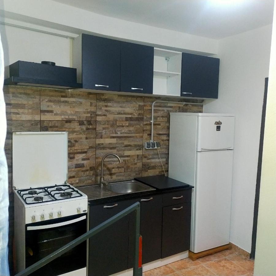 Vila Elena Ap 1 بوخارست المظهر الخارجي الصورة