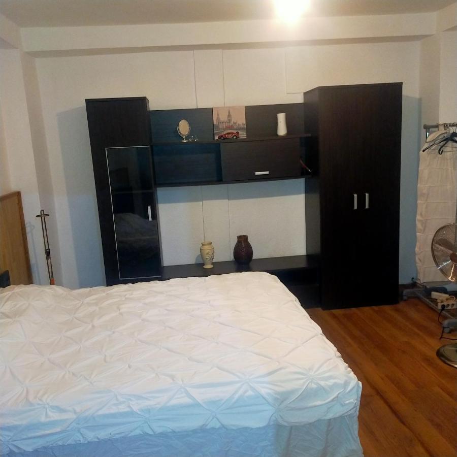 Vila Elena Ap 1 بوخارست المظهر الخارجي الصورة